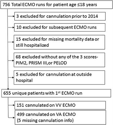 Evaluation of Severity of Illness Scores in the Pediatric ECMO Population